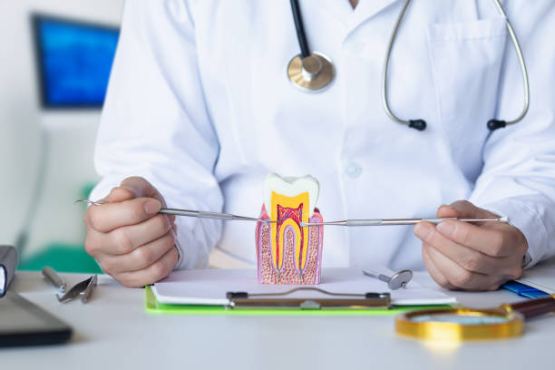 Best Emergency Dental Care for Trauma or Injury in Mount Holly Springs, PA